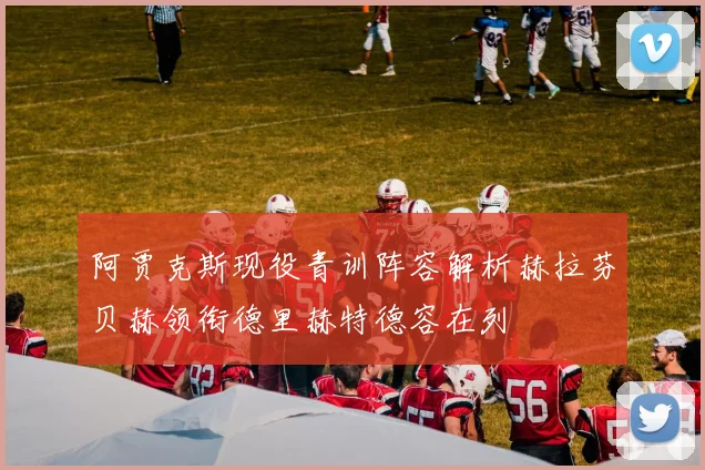 阿贾克斯现役青训阵容解析赫拉芬贝赫领衔德里赫特德容在列