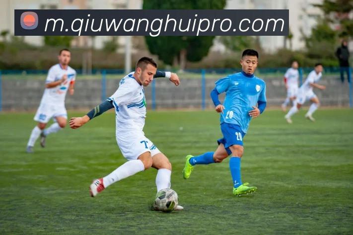 多媒体互动体验